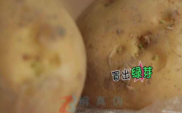 放苹果可延缓土豆长芽实验第三步骤
