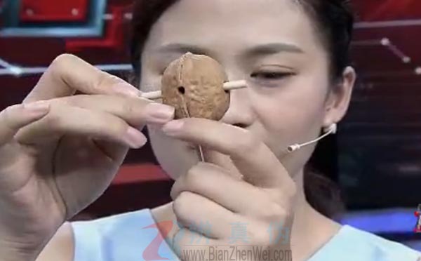  借助核桃就能做风车，木棍对称地穿过去——辨真伪网