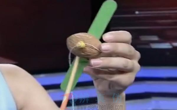 借助核桃就能做风车，把筷子插到剩下的一个小洞里——辨真伪网
