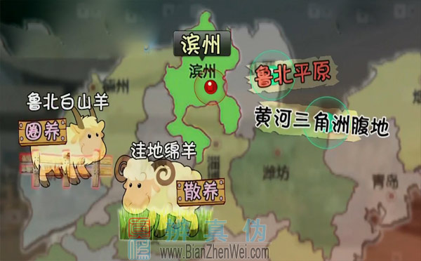 山羊的瞳孔是方形的，滨州市是山东畜牧业的重点养殖地之一，位于山东省北部，地处鲁北平原、黄河三角洲腹地