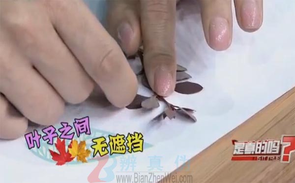 用锤子就能作画。每个叶子之间不要互相覆盖——辨真伪网