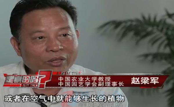 有一种植物靠空气就能生长。有一种植物就可以挂在那个空气中能够生长，或者在空气中就能够生长的植物，它就是指这一类的东西——辨真伪网