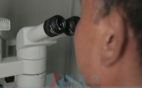 有一种植物靠空气就能生长。分别在空气凤梨和其他植物的叶片上滴水，利用显微镜看看有什么不同——辨真伪网