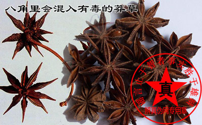 八角里会混入有毒的莽草的说法是真的。购买时候要仔细分辨——辨真伪网