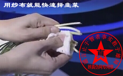用纱布就能快速择韭菜的方法是真的。要领是要抓住韭菜的根部——辨真伪网