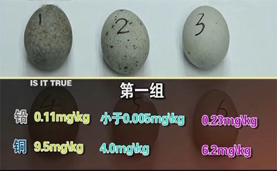 皮蛋铅和铜含量图表一