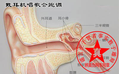 戴耳机唱歌会跑调是真的。专业歌手也会跑调的——辨真伪网