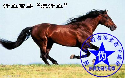 汗血宝马“流汗血”是假的。汗血马虽然名贵却不是无所不能的天马——辨真伪网 汗血宝马“流汗血”是假的。汗血马虽然名贵却不是无所不能的天马——辨真伪网