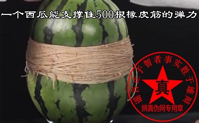 一个西瓜能支撑住500根橡皮筋的弹力的说法是真的。经常看到的拱桥动用的就是这个原理，拱形能承受特别大的力，也能够很多年屹立不倒——辨真伪网