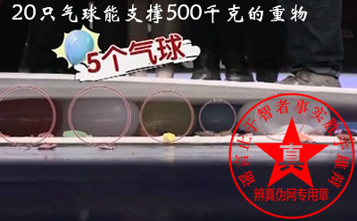 20只气球能支撑500千克的重物是真的。最少达到5个气球就能够承受了——辨真伪网