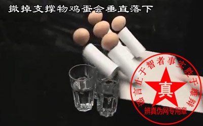撤掉支撑物鸡蛋会垂直落下是真的。坐车的时候因为惯性原理,所以坐车的时候一定要系好安全带,或者拉好扶手保持我们身体的稳定性——辨真伪网 撤掉支撑物鸡蛋会垂直落下是真的。坐车的时候因为惯性原理,所以坐车的时候一定要系好安全带,或者拉好扶手保持我们身体的稳定性——辨真伪网