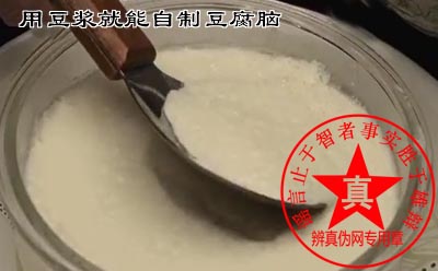 用豆浆就能自制豆腐脑是真的——辨真伪网