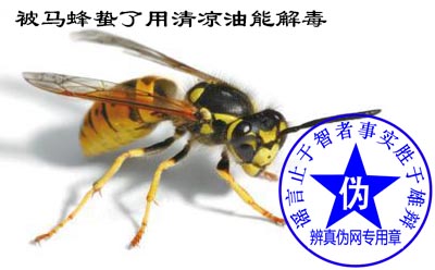 被马蜂蛰了用清凉油能解毒是网络谣言——辨真伪网