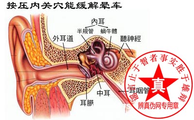 按压内关穴能缓解晕车是真的。中医还有其它一些穴位，比如说这个合谷穴——辨真伪网