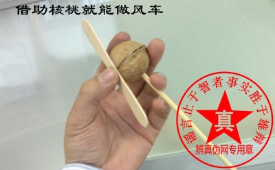 借助核桃就能做风车是真的——辨真伪网