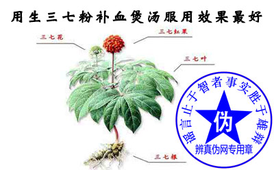 用生三七粉补血煲汤服用效果最好是网络谣言——辨真伪网