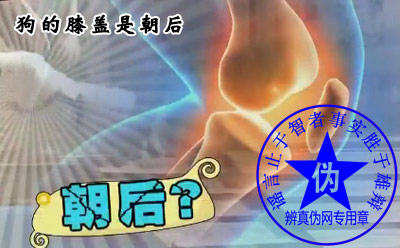 狗的膝盖是朝后的是网络谣言——辨真伪网