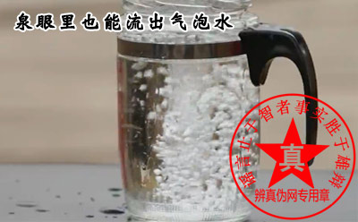 泉眼里也能流出气泡水是真的——辨真伪网