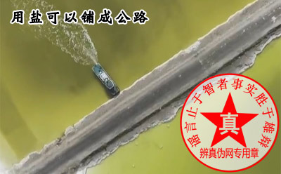 用盐可以铺成公路是真的——辨真伪网